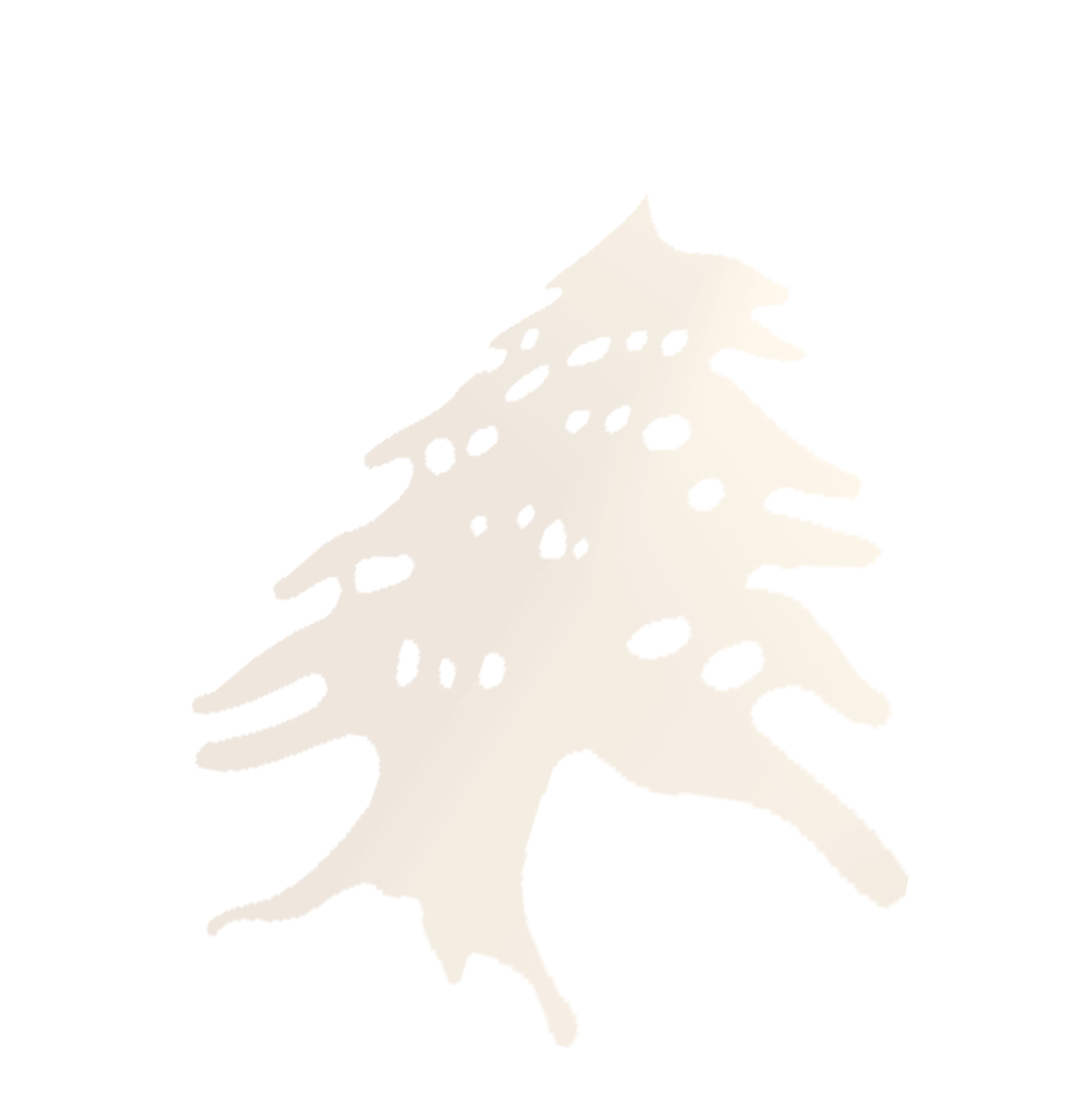 Cedrus